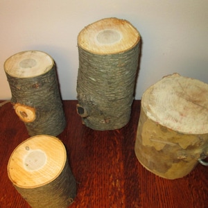 Natural Tree Rustic Wood Stump Set - Cherry Wood and Assorted Miniature Wood Stumps, Small Craft Logs, Terrarium Decor