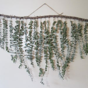 Dried Eucalyptus & Lavender Wall Hanging – Rustic Home Decor, Botanical Arrangement