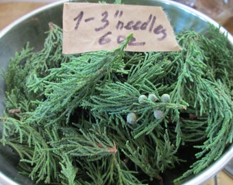 Fresh Cut  Eastern Red Cedar Branch Clippings, Aromatic Cedar Bundle, Wedding Decor, Juniper Winter Greenery