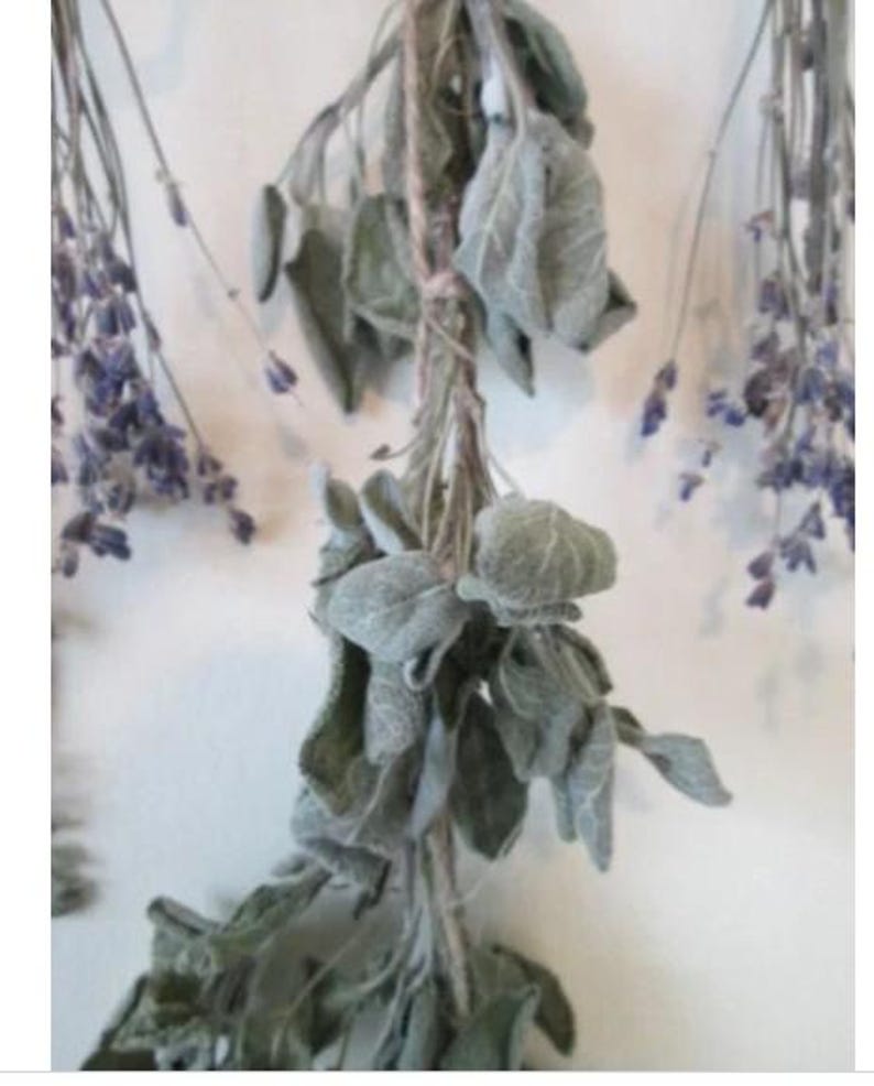 Hanging Herbs, Dried Herbs Wall Hanging, Dried Bundled Herbs, Lavender