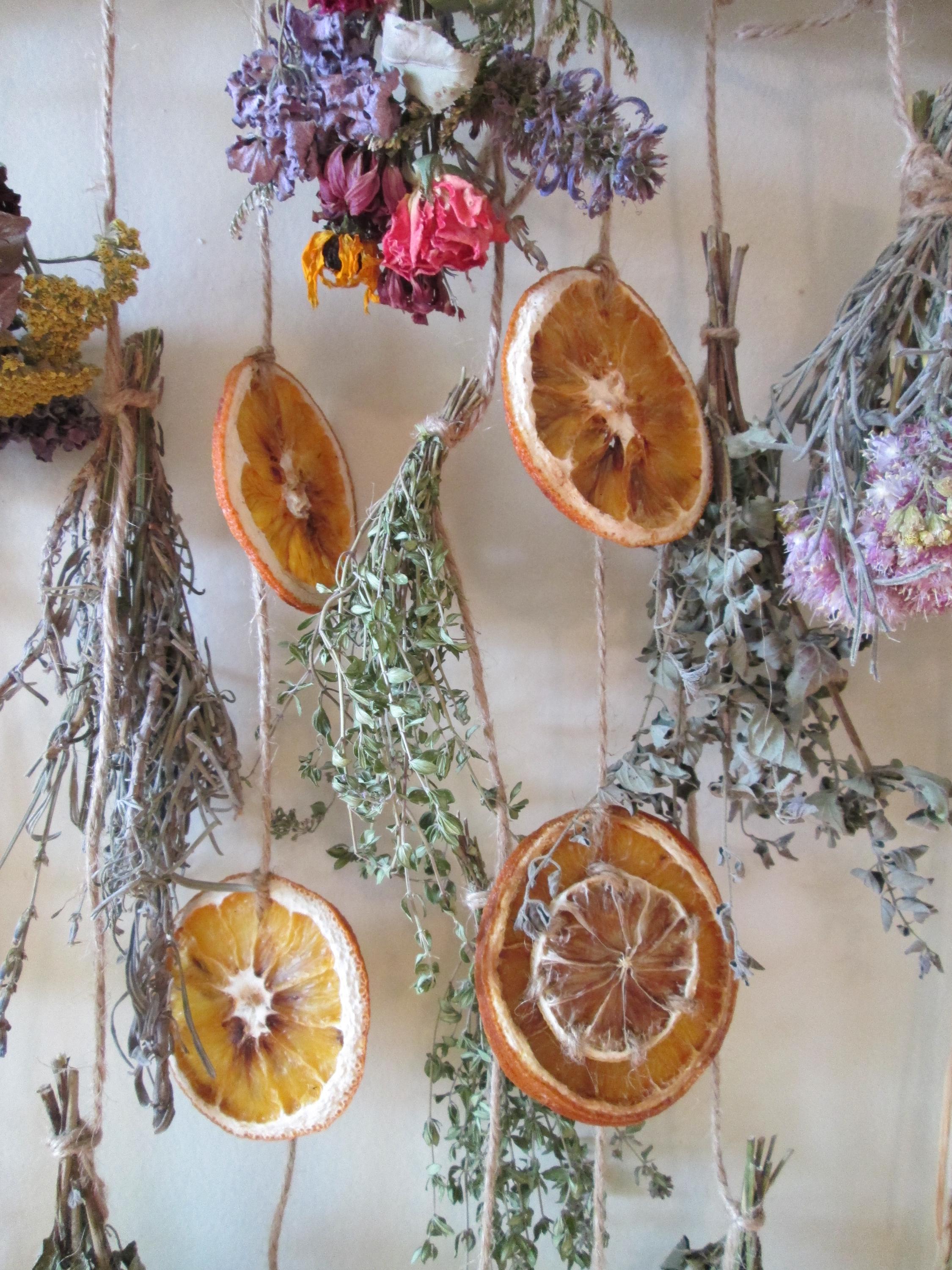 Dried Citrus Wall Hanging Dried Flowers and Herbs Rustic Decor - Etsy