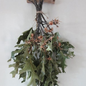 Natural Red Oak – Hanging Swag, Loose Leaves, or Acorns for Crafts & Decor