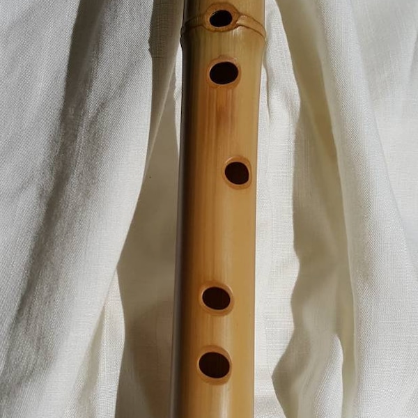 Flute windpipe  bamboo D low note 6 hole in G Major by Bo Fain handmade in Texas with Lapis Inlay