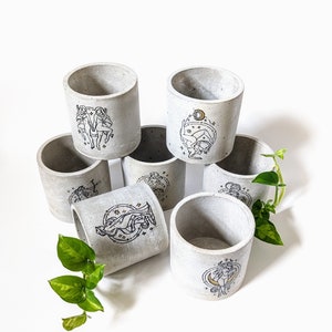 Zodiac Horoscope Concrete Cement Succulent Cacti Pot Planter Houseplant Minimalist Decor