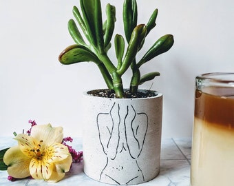 Ella cemento de hormigón suculento cacti maceta plantadora plantar decoración minimalista