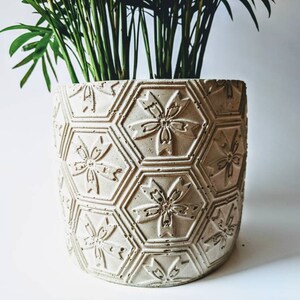 Puede incluir: Una maceta de hormig&oacute;n blanco con un patr&oacute;n hexagonal y dise&ntilde;os de flores en relieve. La maceta est&aacute; llena de una planta verde.