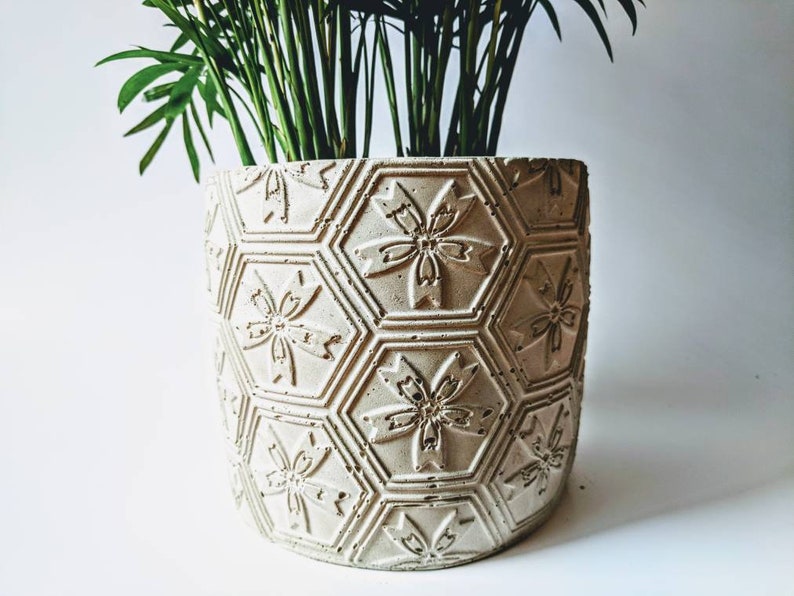 Puede incluir: Una maceta de hormig&oacute;n blanco con un patr&oacute;n hexagonal y dise&ntilde;os de flores en relieve. La maceta est&aacute; llena de una planta verde.