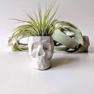 Mini Concrete Geometric Skull Air Plant Holder