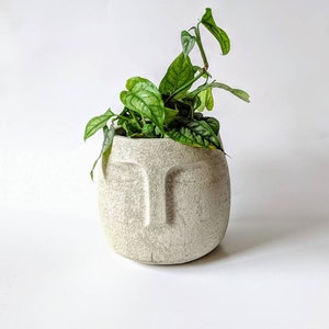 Large Concrete Face Planter