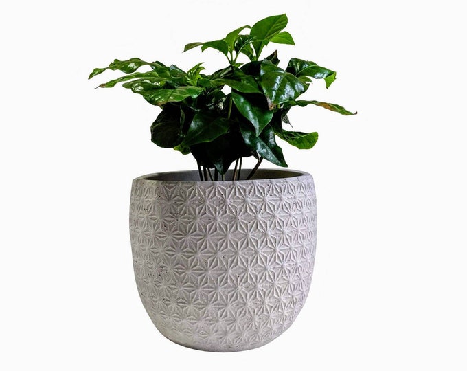 Barcelona Concrete Planter 5.5inch