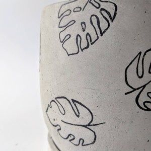 May include: A close-up of a gray concrete planter with a black outline of a tropical leaf design.