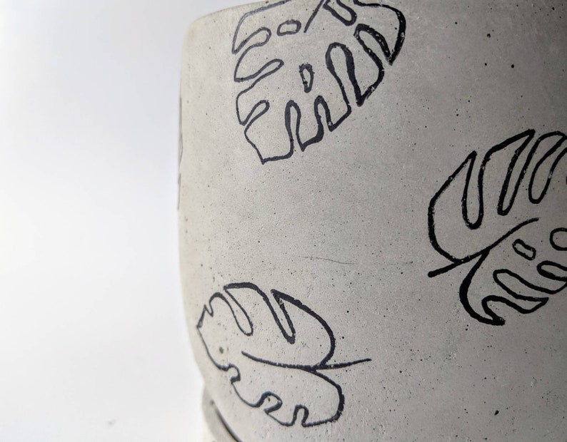 May include: A close-up of a gray concrete planter with a black outline of a tropical leaf design.
