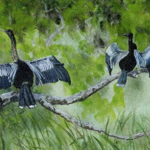 Anhingas Drying Their Wings Along a Swampy Waterway On the Florida Gulf Coast--Framed Original Miniature Fine Art Painting