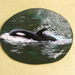 An Orca Whale (aka Killer Whale) on the Move is Hand Painted on this Unique Wearable Fine Art Gourd Piece Pendant/Pin Jewelry