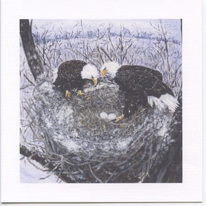 Set di 4 biglietti d'auguri stampati unici del dipinto in miniatura di Diana Wyles di due aquile e il loro prossimo in inverno, su cartoncino di lino