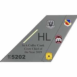 May include: A gray metal tail fin with the text "HL" and "AF 15 5202". The text "SrA Colby Cook Crew Chief of the Year 2019" is also on the tail fin. There are several patches on the tail fin, including a patch with a sword and the text "Air Combat Command", a patch with a ram's head and the text "308th Fighter Squadron", a patch with a spider and the text "308th Fighter Squadron Black Widows", and a patch with a red, yellow, and blue design and the text "Commando Val Merd".