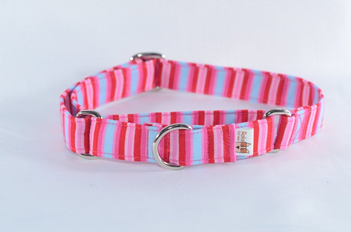 DIY Martingale Tutorial Instructions Adjustable Dog Collar Etsy UK