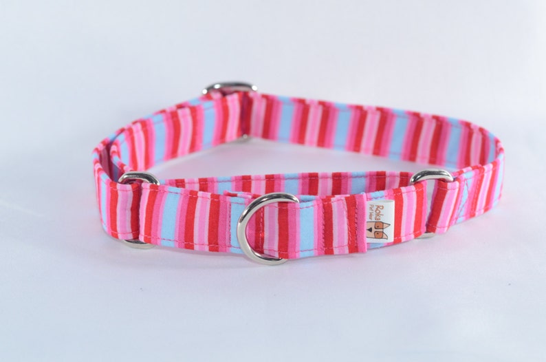 DIY Martingale Tutorial Instructions Adjustable Dog Collar Etsy UK