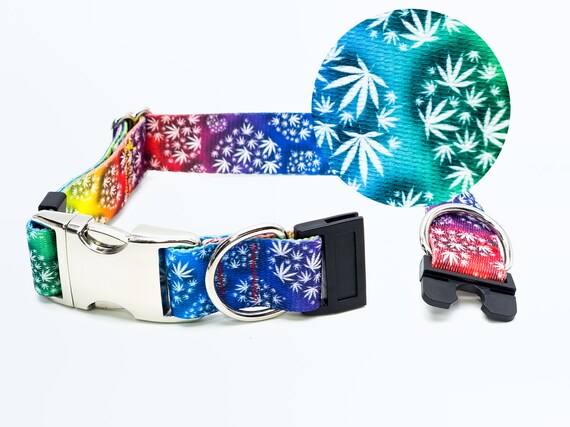 Personalized breakaway dog collar hotsell
