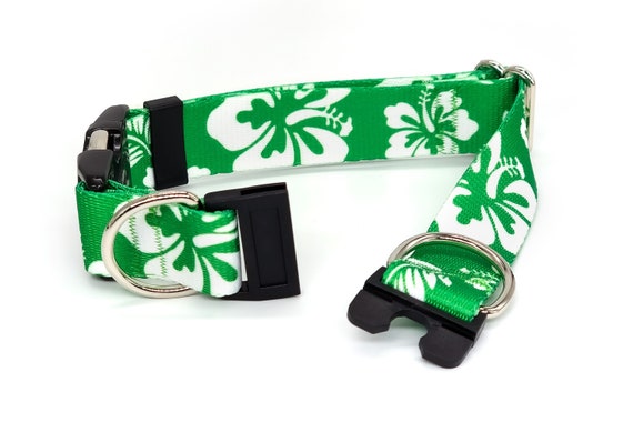 Breakaway dog collars personalized sales