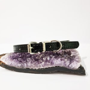 May include: A black leather dog collar with silver hardware. The collar is lying on a purple amethyst geode.