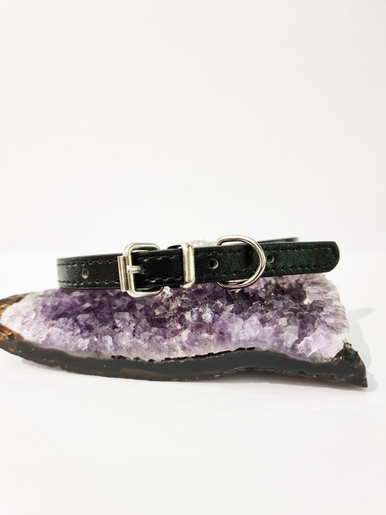 May include: A black leather dog collar with silver hardware. The collar is lying on a purple amethyst geode.