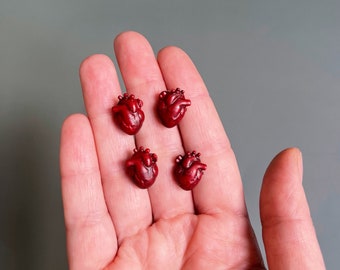 Miniature Anatomical Heart Stud Earrings - Medical Love Valentine