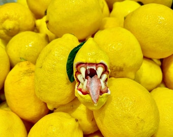 Large Carnivorous Lemon Fruit Polymer Clay Creepy But Cute Horror Multiway Necklace Pendant and Brooch 2 in 1 - as seen on Tik Tok