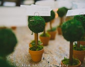 Topiary Tree Place Card Holders/Escort Card Holders/ Favors - 20 Trees