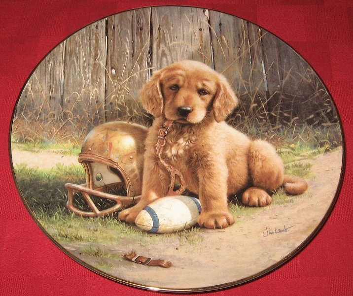 Designer Dog 【Collar】 adorned with massive carved plates for