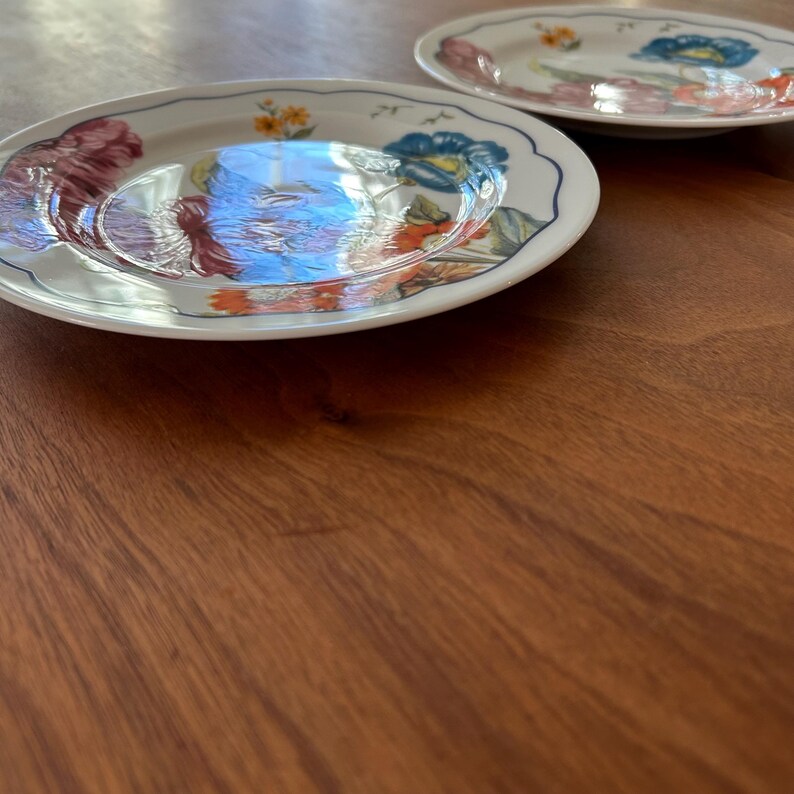 Anthropologie Salad Plates 8” Flower Dessert Plates Set of 2 afbeelding 7