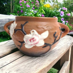 May include: A brown ceramic planter with a floral design. The planter has two handles and features white and pink magnolia flowers with black branches.