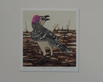 Reduction linocut of the Australian Great Bower Bird ('Show time')
