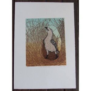 Linocut of a male Great Bowerbird displaying around its bower