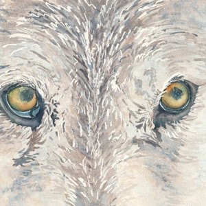 Those Wolf Eyes