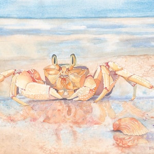 King of the Beach