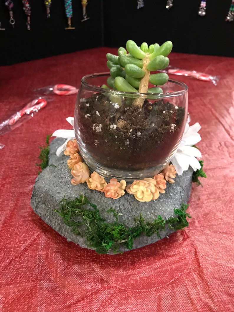 Fake Rock Terrarium B Fake Rock Terrarium B