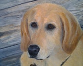 Realistic Custom Pet Portraits from Your Picture