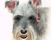 Custom Pet Portrait of Your Favorite Guy or Gal