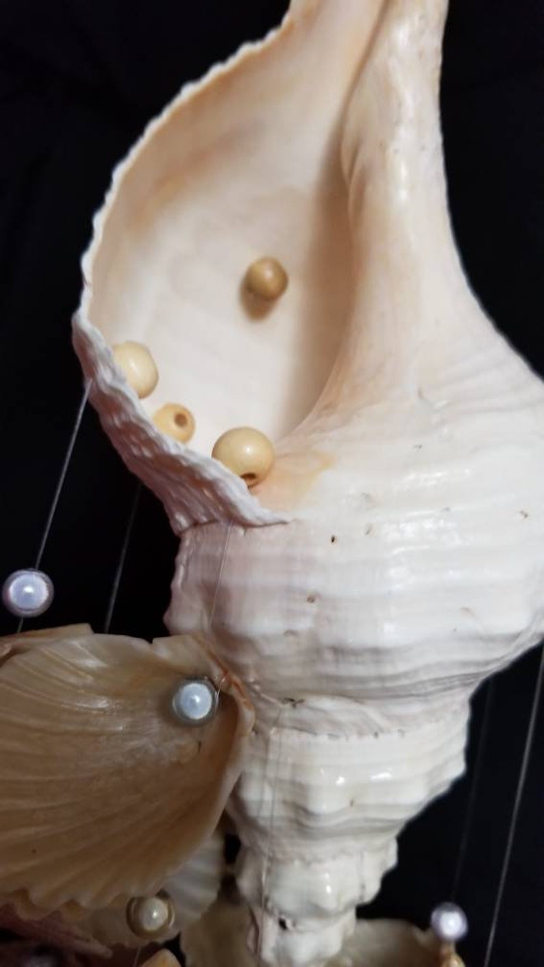 Handmade Giant Horse Conch Seashell Windchime Wind Chimes Home Living Kromasol Com