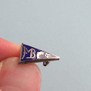 Vintage Silver Tone Enamel Fraternal Pin Free Shipping