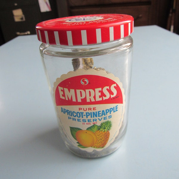 Vintage Safeway Empress Pure Apricot Pineapple Preserves Jar with Mineral Samples Free Shipping