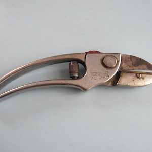 May include: A silver pruning shears with a red handle and the text "True Temper No. 25D" on the side.