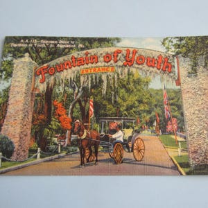 May include: Vintage postcard featuring the "Fountain of Youth" entrance in St. Augustine, Florida. The image shows a horse-drawn carriage passing under an archway with the words "Fountain of Youth Entrance". The postcard has a classic, aged appearance.