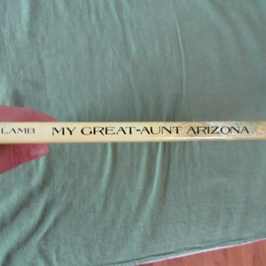 My Great-Aunt Arizona by Gloria Houston My Great-Aunt Arizona by Gloria Houston