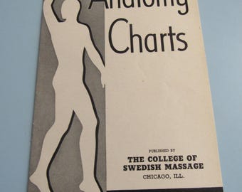 Anatomy Charts College of Swedish Massage 1939 Free Shipping