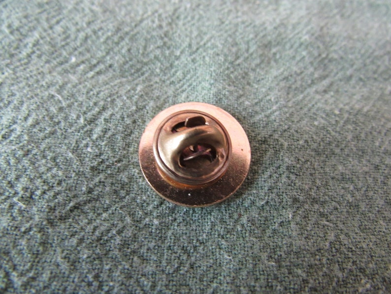 Vintage Cub Scouting National Summertime Award Pin Free Shipping