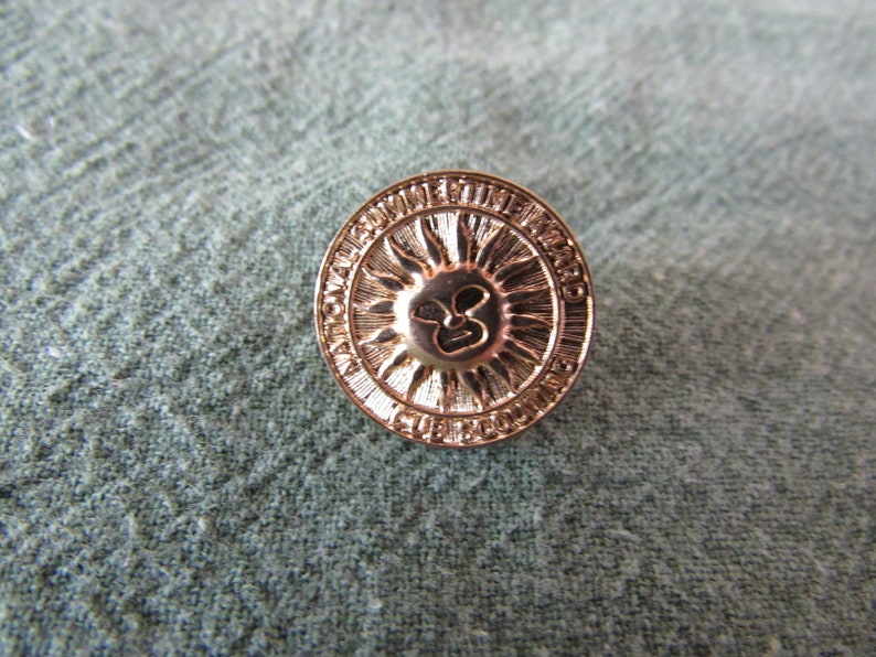 Vintage Cub Scouting National Summertime Award Pin Free Shipping