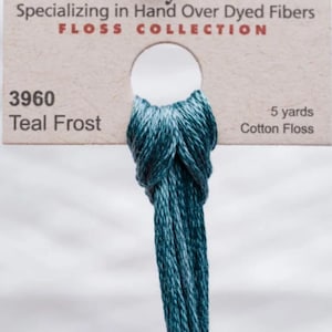 Teal frost Semanas de teñido funciona