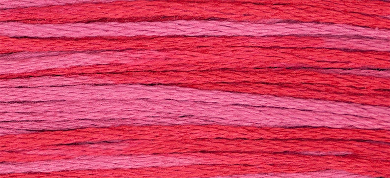 Begonia Weeks dye works